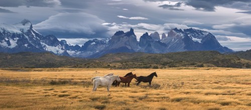 park-narodowy-torres-del-paine-patagonia-chile