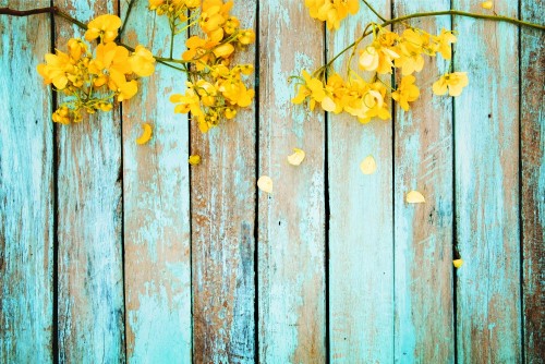 zolci-kwiaty-na-rocznika-drewnianym-tle-rabatowy-projekt-ton-kolor-vintage-koncepcja-kwiat-tlo-wiosna-lub-lato