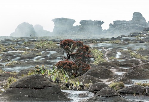 widok-na-plaskowyz-roraima-tepui-z-dziwacznymi-skalami-wenezuela-ameryka-lacinska