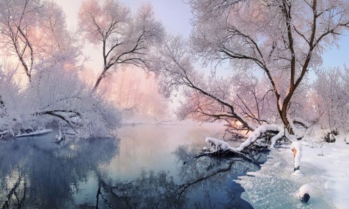shristmas-lace-winter-krajobraz-w-rozowych-odcieniach-z-wszedzie-szron-najczesciej-spokojna-zimowa-rzeka-otoczona-drzewami