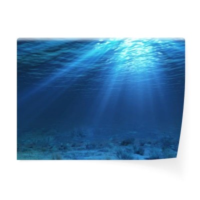 podwodny-krajobraz-i-tlo-z-algami