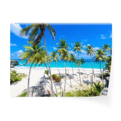bottom-bay-barbados-rajska-plaza-na-karaibskiej-wyspie-barbados-tropikalne-wybrzeze-z-palmami-wisi-nad-turkusowym-morzem-zdjecie