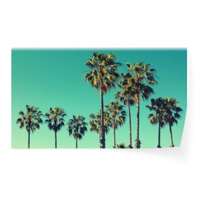 drzewka-palmowe-przy-snata-monica-plaza-vintage-post-przetwarzane-moda-podroze-lato-wakacje-i-tropikalna-koncepcja-plazy