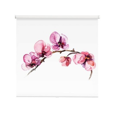 orchidea-kwiaty-akwarela-na-bialym-tle-na-bialym-tle