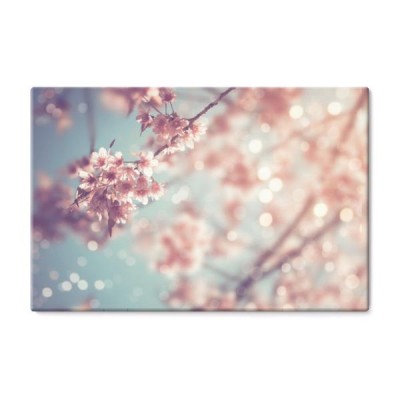 zakonczenie-piekny-rocznika-sakura-drzewny-kwiat-w-wiosnie-czeresniowy-okwitniecie-styl-vintage-kolor-dzwieku
