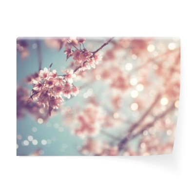 zakonczenie-piekny-rocznika-sakura-drzewny-kwiat-w-wiosnie-czeresniowy-okwitniecie-styl-vintage-kolor-dzwieku