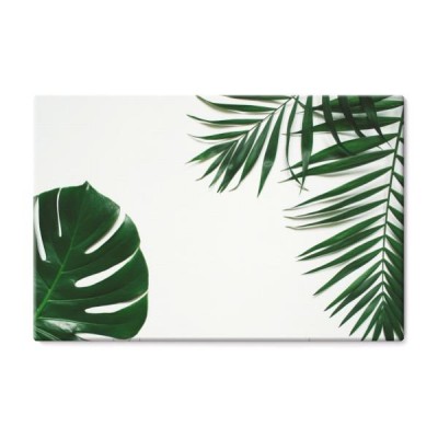 zielonych-plaskich-nieatutowych-tropikalnych-palmowych-galaz-na-bialym-tle-pokoj-dla-tekstu-kopia-napis