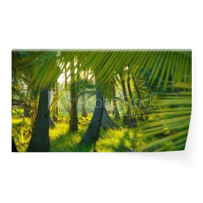 palmowy-las-tropikalny-z-ogromnymi-liscmi-palm-na-pierwszym-planie