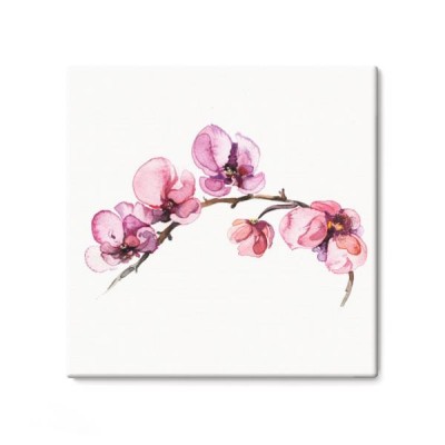 orchidea-kwiaty-akwarela-na-bialym-tle-na-bialym-tle