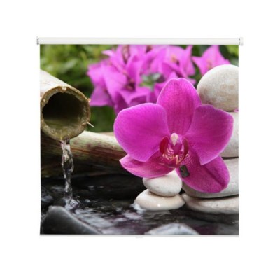 kamyki-i-orchidea-nad-woda