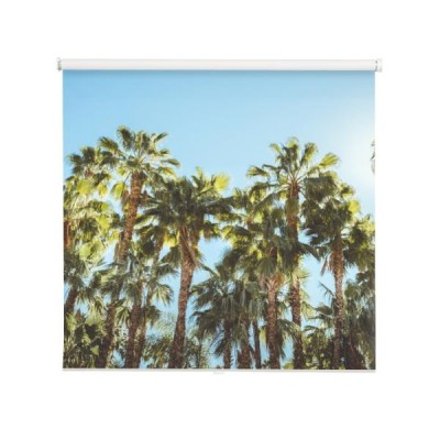 palm-springs-movie-colony-palm-trees-obraz-w-stylu-vintage-przedstawiajacy-odrodzenie-palm-springs-i-jego-nowoczesnosc-i-styl