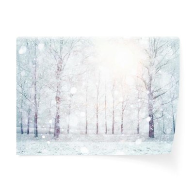 biale-drzewa-pokryte-mroznym-sniegiem