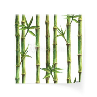zielony-bambus-wynika-i-pozostawia-wzor
