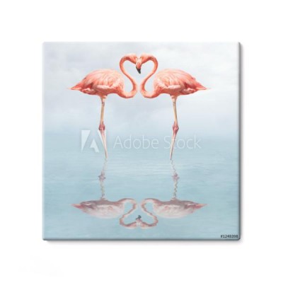 dwa-zakochane-flamingi