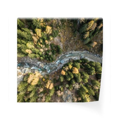widok-z-lotu-ptaka-rzeczny-splywanie-przez-lasu-w-wysokogorskiej-dolinie-w-szwajcaria