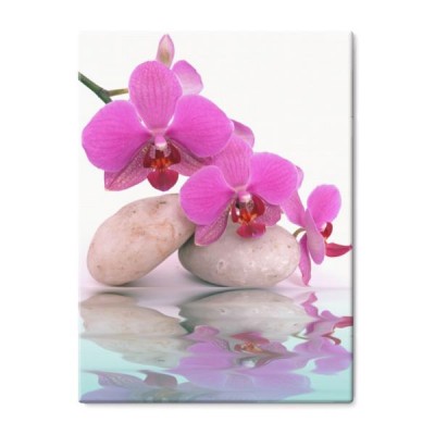 woda-orchidea