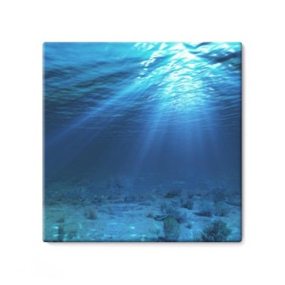 podwodny-krajobraz-i-tlo-z-algami