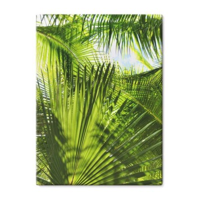 zielona-dzungla-palmy