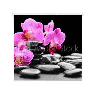 kwiat-orchidei-na-kamieniach