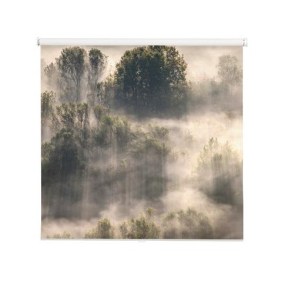 mgla-i-para-nad-drzewami-w-dolinie-rzeki