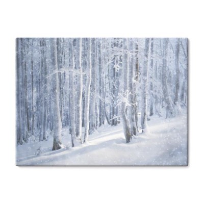 snieg-zalegajacy-w-zimowym-lesie-piekny-krajobraz-osniezonych-drzew