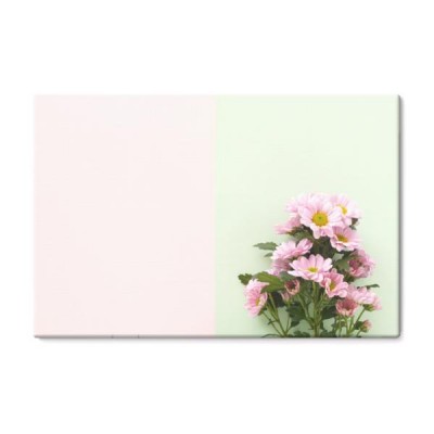 sklad-rozowi-chryzantema-kwiaty-na-rozowym-i-zielonym-tle-odgorny-widok-kreatywnie-mieszkanie-nieatutowy