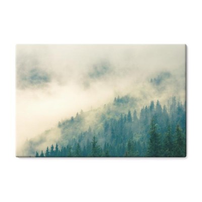mgla-pokrywajaca-gorskie-lasy-na-zboczach