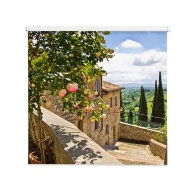 roze-na-balkonie-w-san-gimignano-w-tle-krajobraz-toskanii