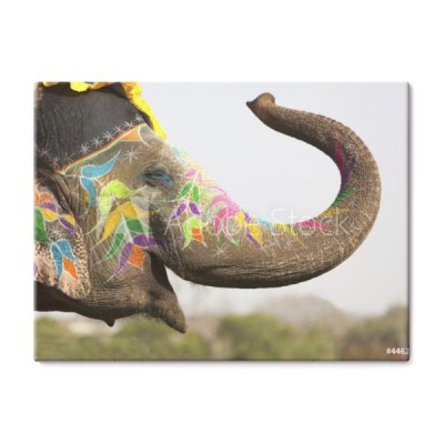 zdobione-slonia-na-festiwalu-slonia-w-dzajpur-indie