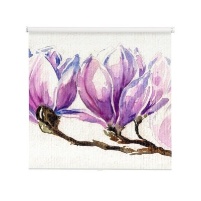kwiat-magnolii