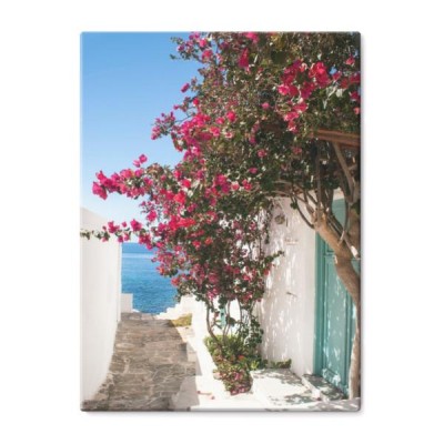 tradycyjna-grecka-aleja-z-kwiatami-na-wyspie-sifnos-grecja