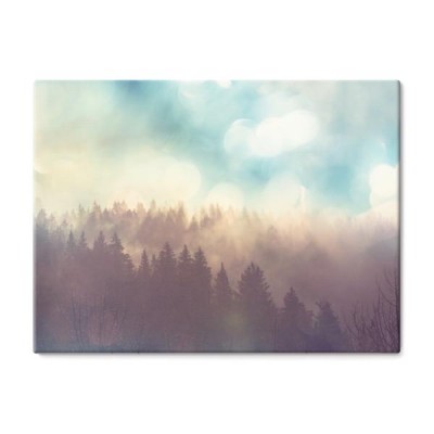 mgla-i-chmury-w-lesie