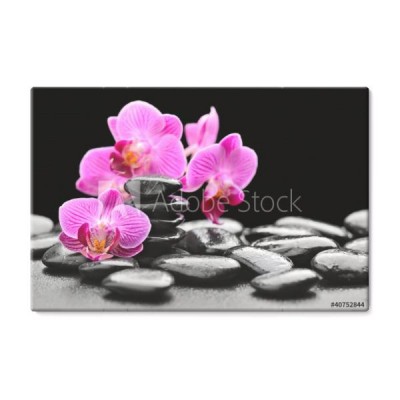 kwiat-orchidei-na-kamieniach
