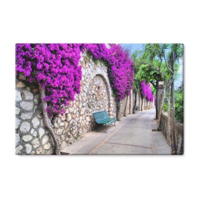 uliczka-pod-starym-murem-z-fioletowymi-kwiatami-na-wyspie-capri-wlochy