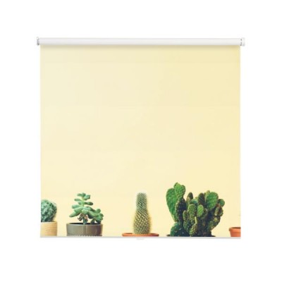 kaktusowe-szczyty-na-stonowanym-zoltym-tle