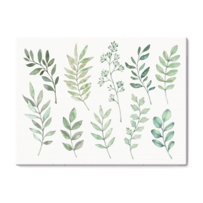 recznie-rysowane-akwarela-ilustracje-botaniczny-clipart-zestaw-zielonych-lisci-ziol-i-galezi-elementy-floral-design-idealny