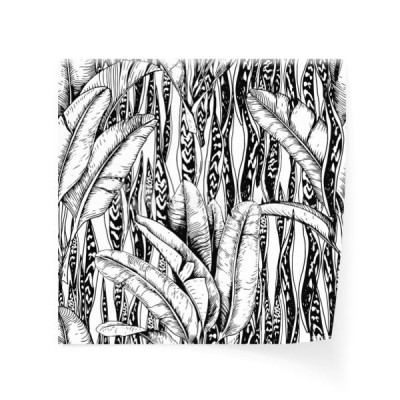 wzor-z-lisci-tropikalnych-bananow-i-rosliny-weza-laurentii-recznie-rysowane-wektor-czarny-i-bialy