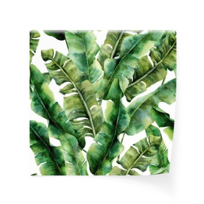 akwarela-wzor-z-wspaniale-liscie-palmowe-banana-recznie-malowany-egzotyczny-oddzial-zieleni-zwrotnik-roslina-odizolowywajaca