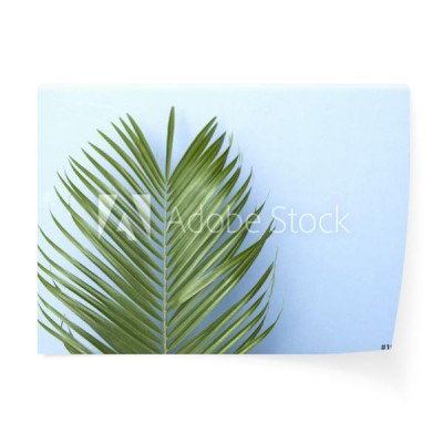 tropikalny-drzewko-palmowe-lisc-na-pastelowym-blekitnym-tle