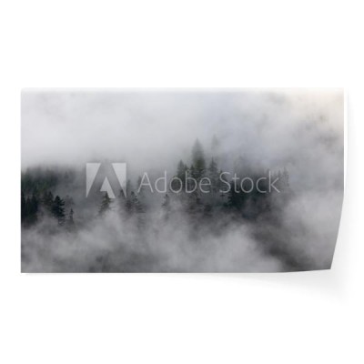 las-we-mgle-wiecznie-zielone-drzewa-w-chmurach-tajemniczy-krajobraz