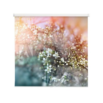 wiosenne-paki-i-kwiatki-na-galezi-drzewa