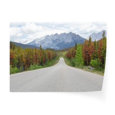 kanada-maligne-lake-road-w-jasper-national-park-canadian-rockies