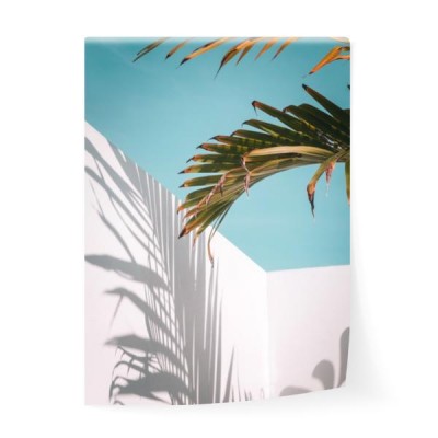 drzewko-palmowe-opuszcza-przeciw-turkusowemu-niebu-i-biel-scianie-pastelowe-kolory-kreatywny-kolorowy-minimalizm-skopiuj-miejs