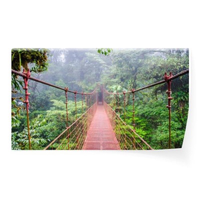 most-w-lesie-deszczowym