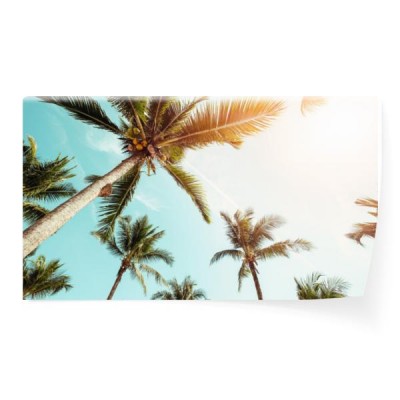 kokosowy-drzewko-palmowe-na-plazy-z-swiatlem-slonecznym-w-lecie-rocznika-koloru-brzmienie