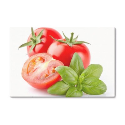 pomidory-z-bazylia-na-bialym-tle