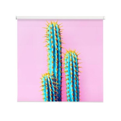 kaktusy-na-rozowym-tle