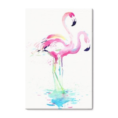 flamingi-na-bialym-tle