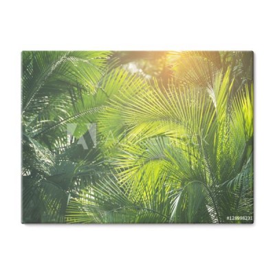 zielony-lisc-palmowy