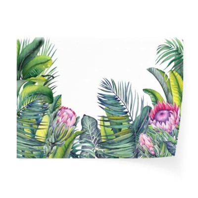 tropikalna-tapeta-z-egzotycznymi-kwiatami-protea-liscmi-palmowymi-i-bananowymi-akwarela-ilustracja-na-bialym-tle
